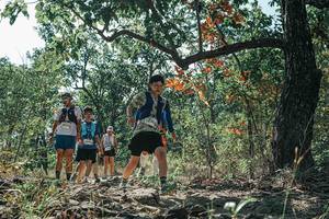 BIB: 
                            <button type="button" onclick="openModal(26113896)" class="btn btn-primary btn-sm float-right btn-popup" data-toggle="modal" data-target=".modal-high-quality">
                        <i class="fas fa-shopping-cart"></i> Add to Cart
                    </button>
                                            <button type="button" onclick="isThisMe(26113896, true)" class="btn btn-success btn-sm float-right btn-popup btn-isme hidden" data-toggle="tooltip" data-placement="bottom" title="นี่คือรูปของคุณใช่ไหม คลิกที่นี่เพื่อเอาเข้าอัลบั้ม">
                        <i class="fas fa-plus"></i> Add to album
                    </button>
                    <button type="button" onclick="isThisMe(26113896, false)" class="btn btn-warning btn-sm float-right btn-popup btn-isnotme hidden">
                        <i class="fas fa-ban"></i> Remove from album
                    </button>